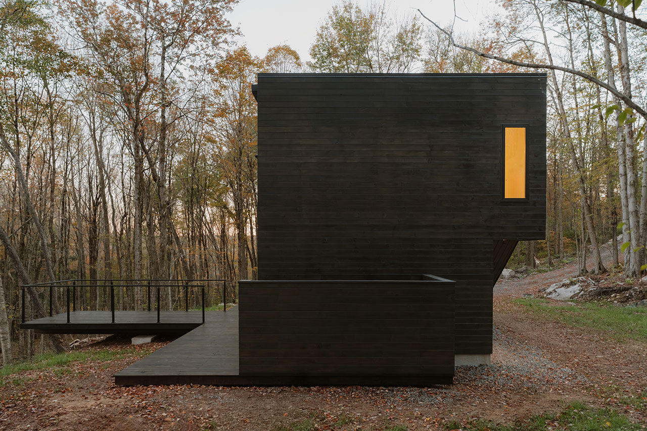 Forest Edge House project view 2